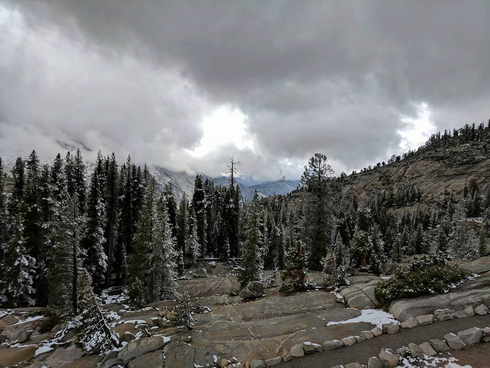 Yosemite Tioga Road credit YNP