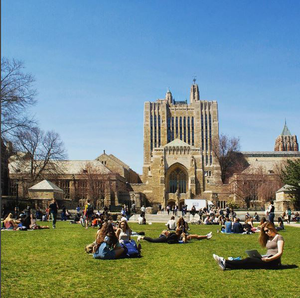 yale credit yale