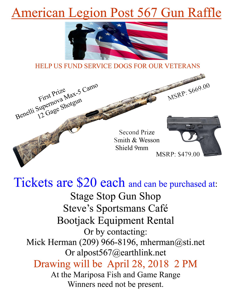 4 28 18 Gun raffle