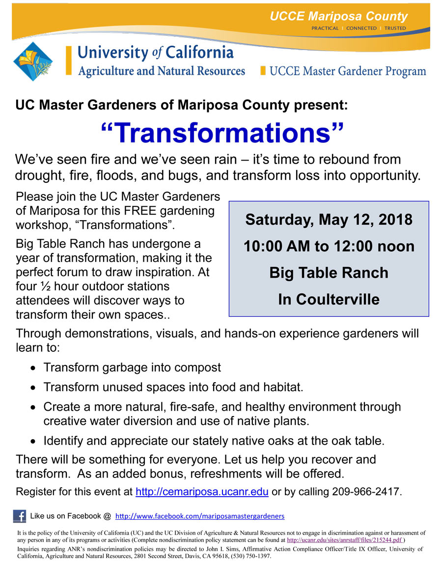 5 12 18 MG Transformations Workshop