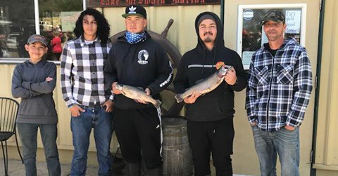 lake mcswain fish