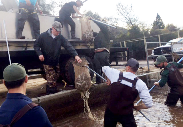 moccasinfishrescue