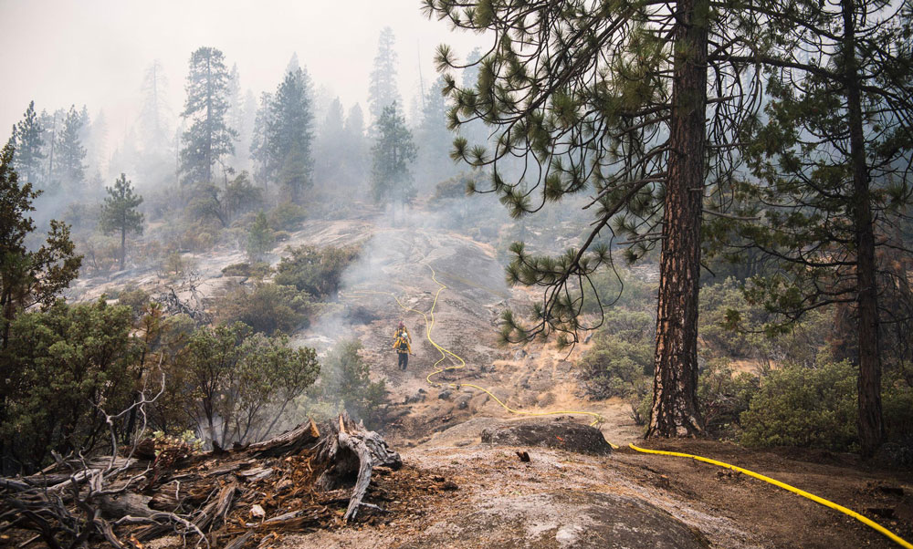 8 8 18 Plumbed Fire Line USFS