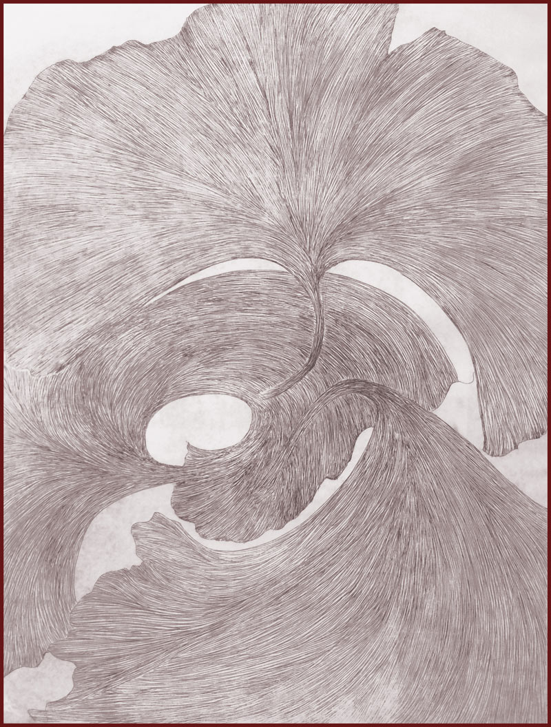 Elizabeth Saltos ginko print