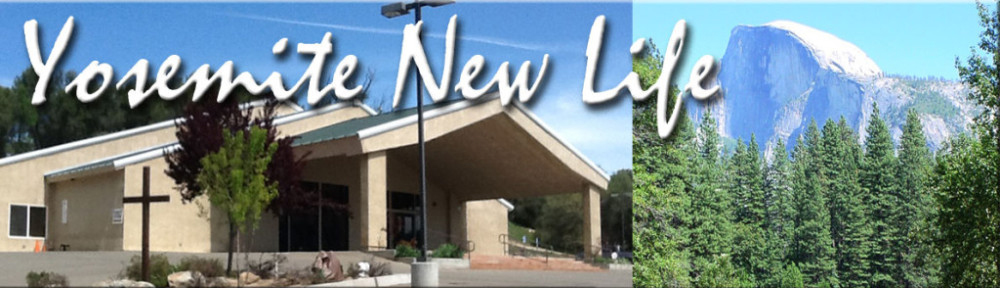 New Life Thrift Store