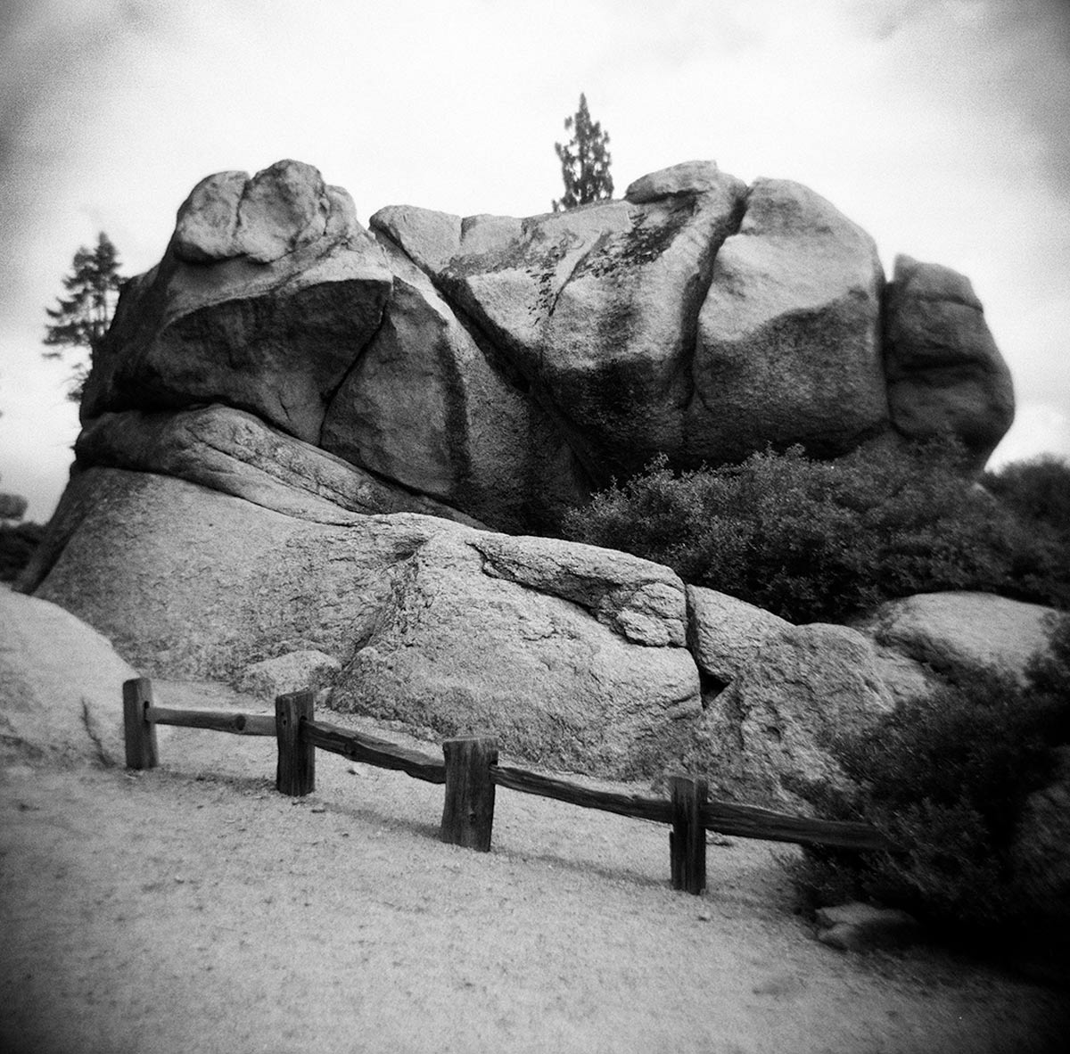 Wendy Denton Glacier Point