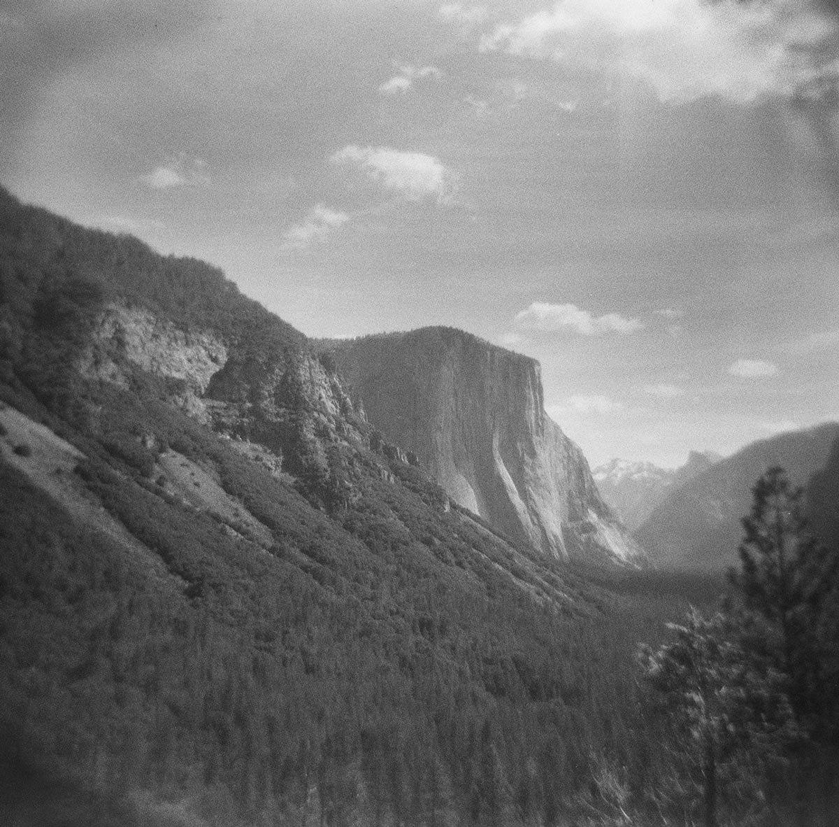 Wendy Denton Tunnel View