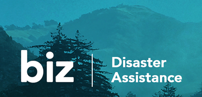 BizDis banner6