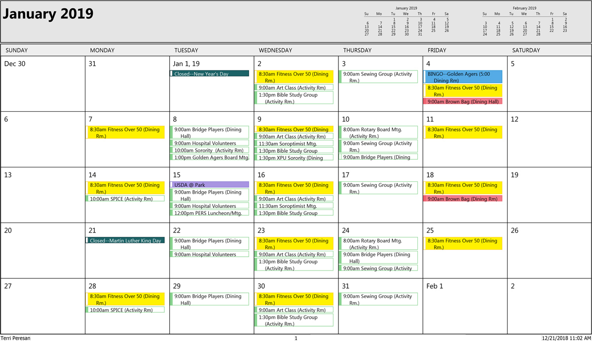 January Sr Activities