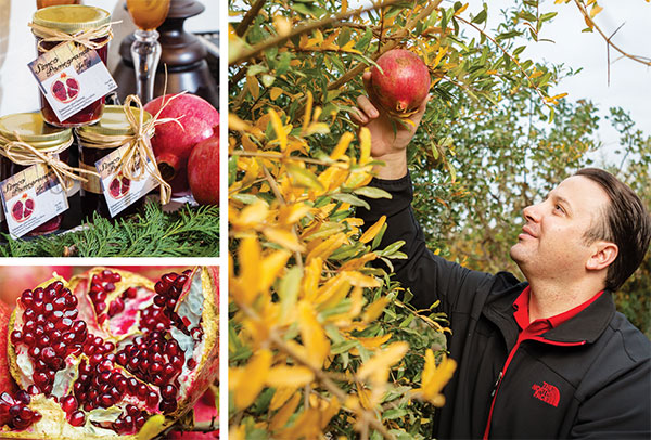 PomFarmerGroup600