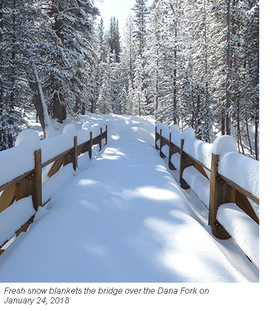 yosemite dana fork bridge blog credit nps