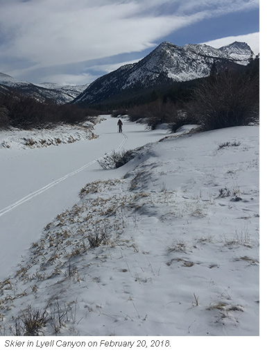 yosemite skier lyell blog 2 21 2018