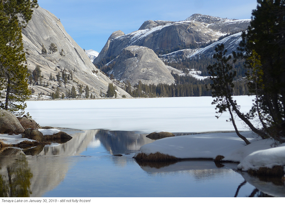 yosemite tenaya lake blog credit nps