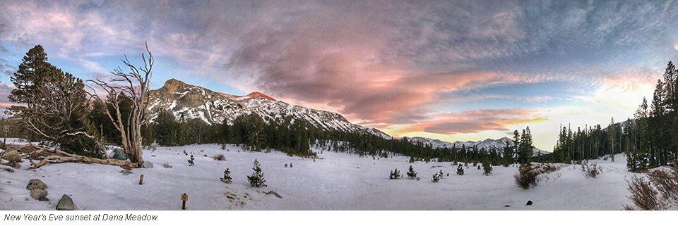 dana meadow blog 4 yosemite