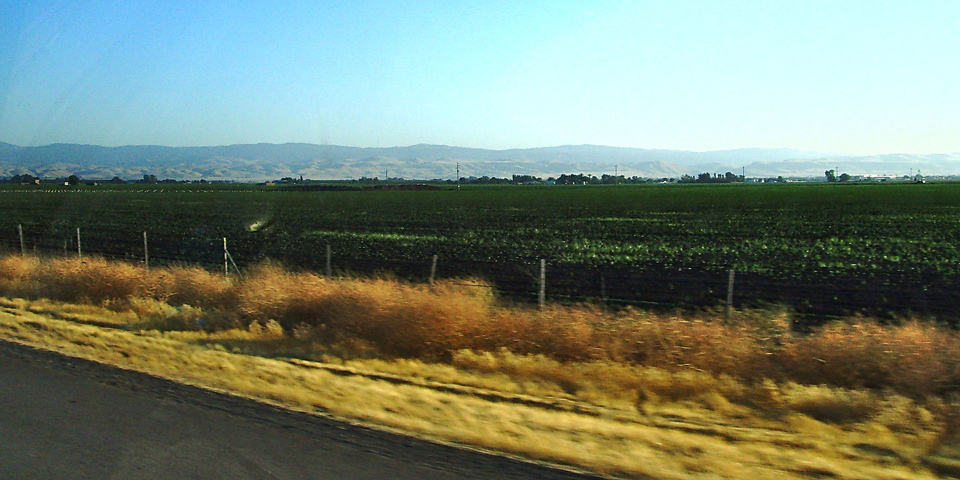 CA Central Valley