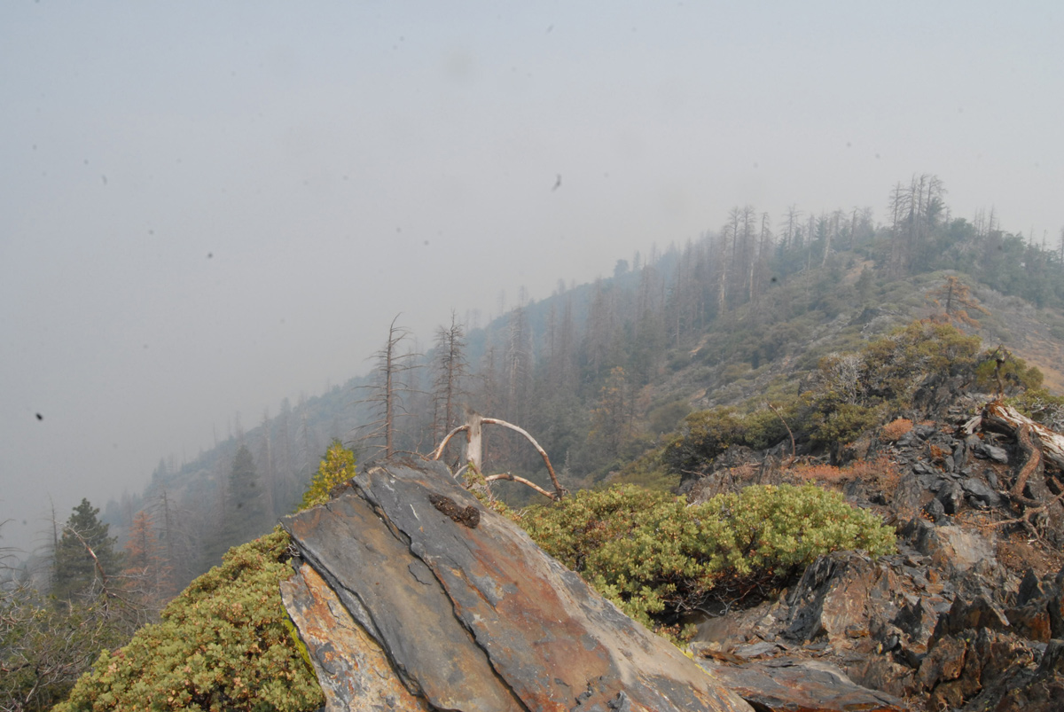 DSC 0189 ferguson fire