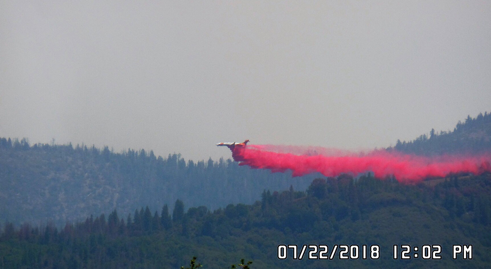 FF 7 24 18 Ted Law 1