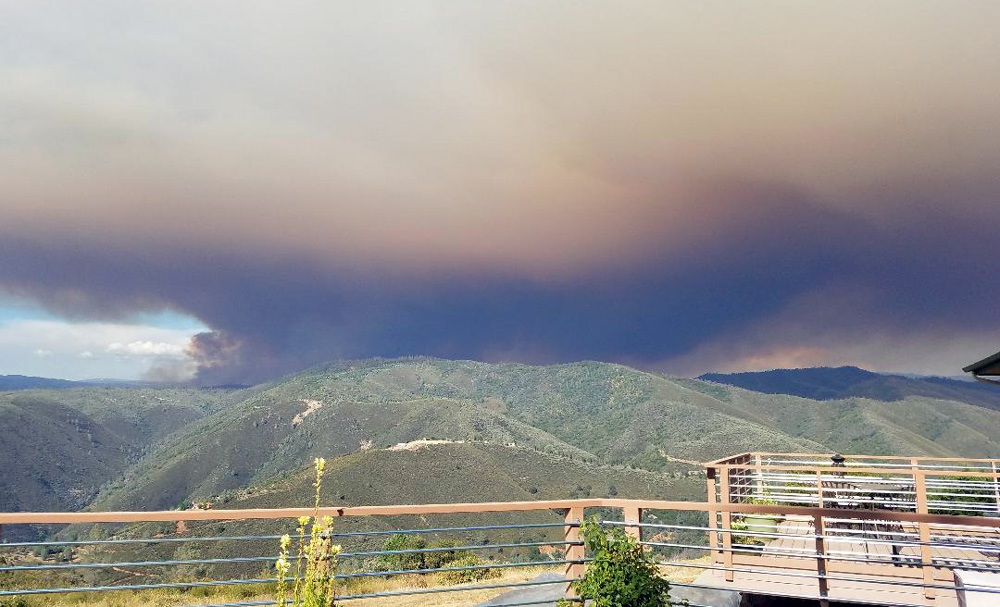Ferguson FIre Midpines Marita Dietz