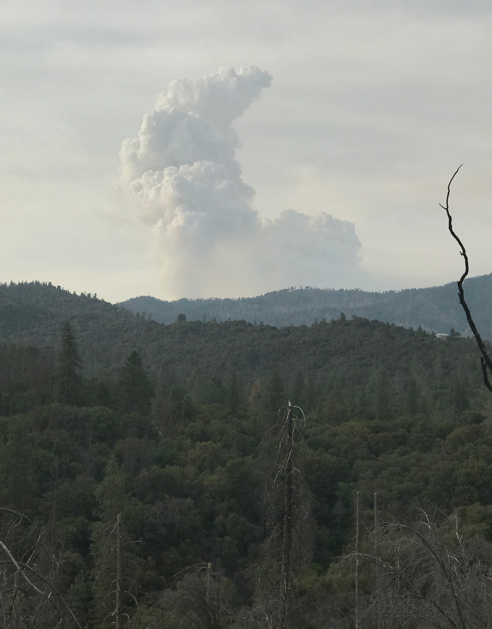 Ferguson Fire Jeremiah Trygsland 2