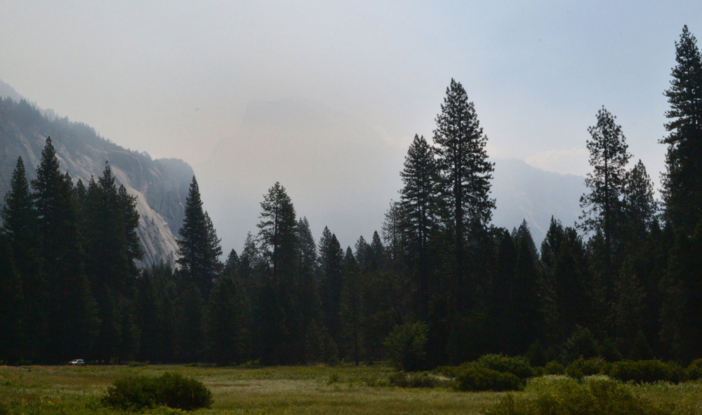Ferguson Fire YNP