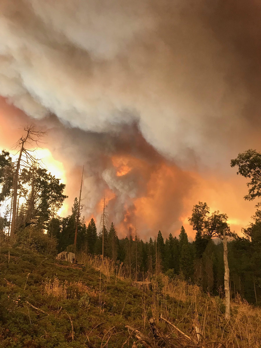 Ferguson Fire near Mariposa Pines 7 18 18