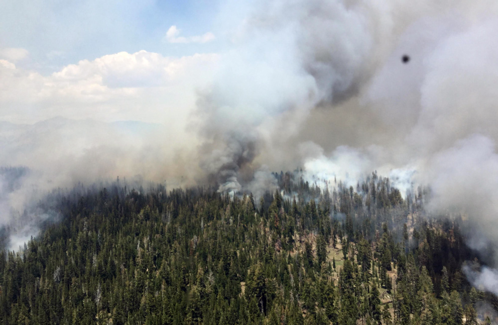 Lions Fire SNF pic 7 1 18