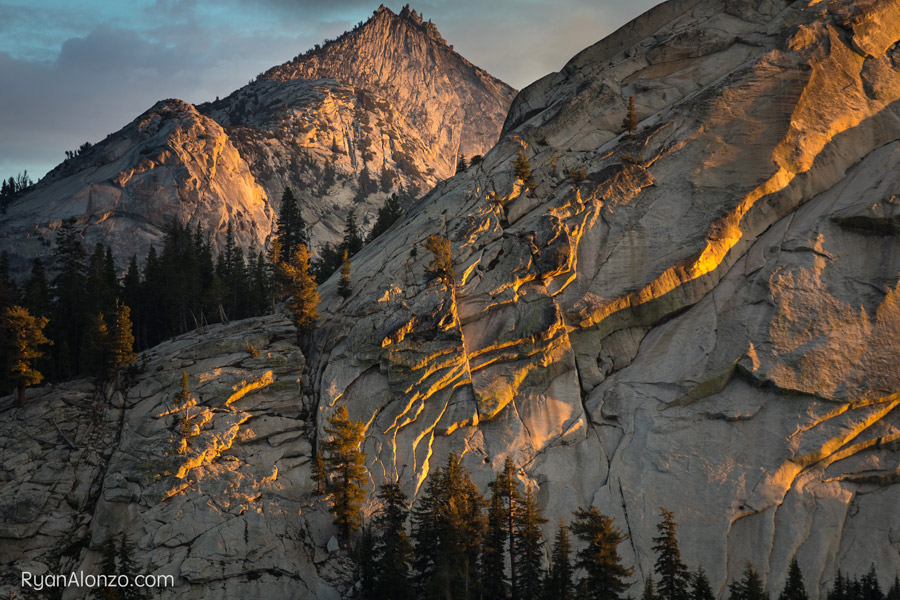 MCAC catherdral marmot close up last light