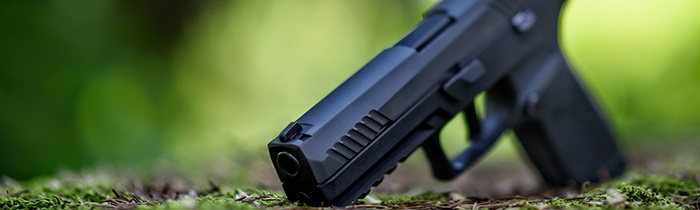 image of a gun on some grass 532980936.trace