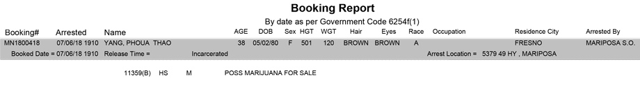 mariposa county booking report for july 6 2018