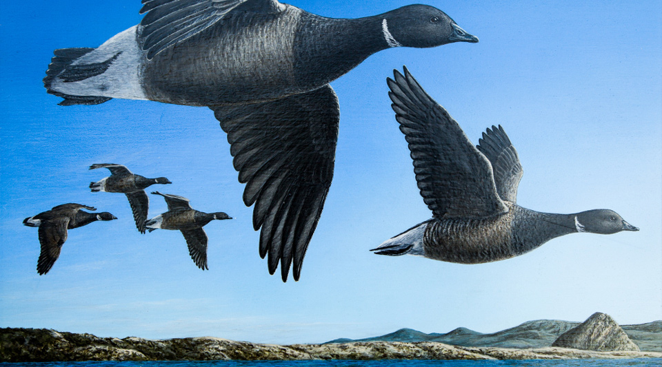 2018 19 duck stamp winner without ribbon