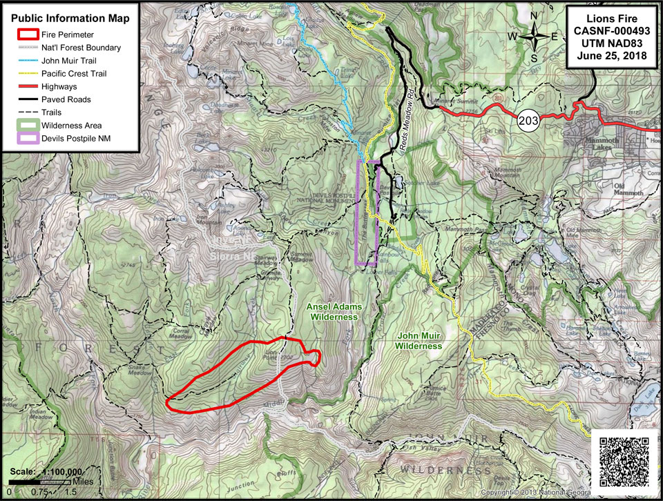 Lions Fire Sierra National Forest 6 25 2018