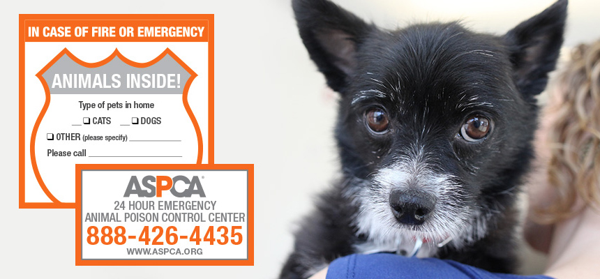 aspca stickers