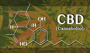 cannabidiolblogpost