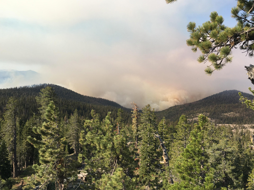 lions fire 2 california sierra national forest credit