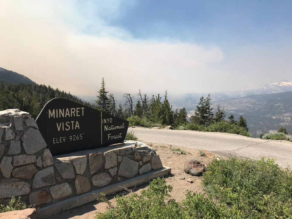 lions fire california sierra national forest credit