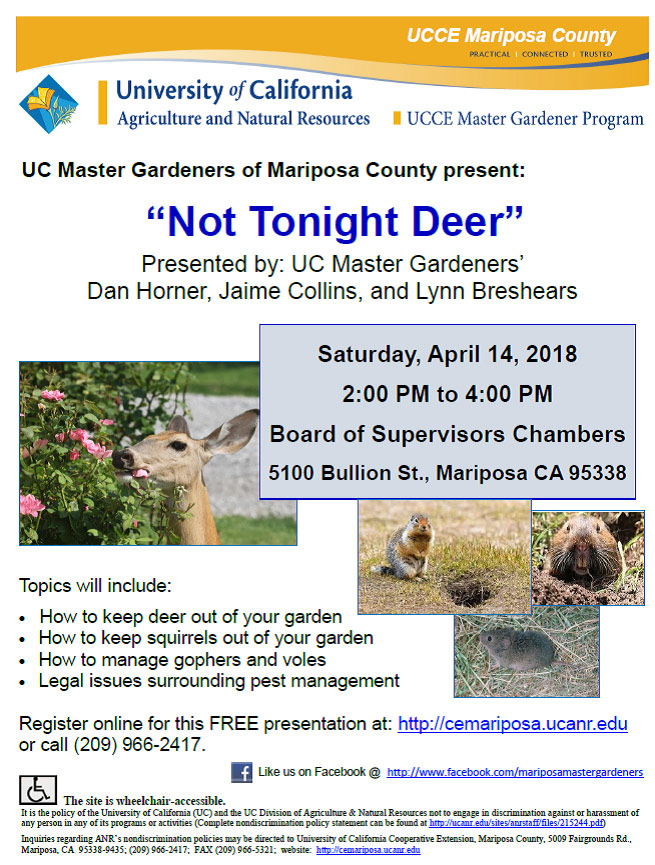 4 14 18 Not Tonight Deer