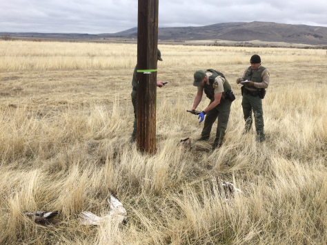 cdfw wildlife officers conducting investigation