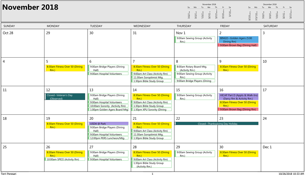 November Sr Activities