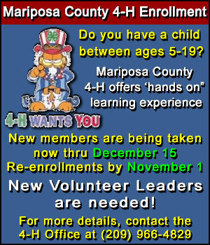 4 H Enrollment 2018