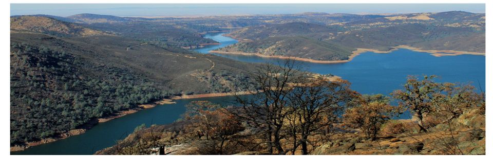 moonshine ranch mariposa county