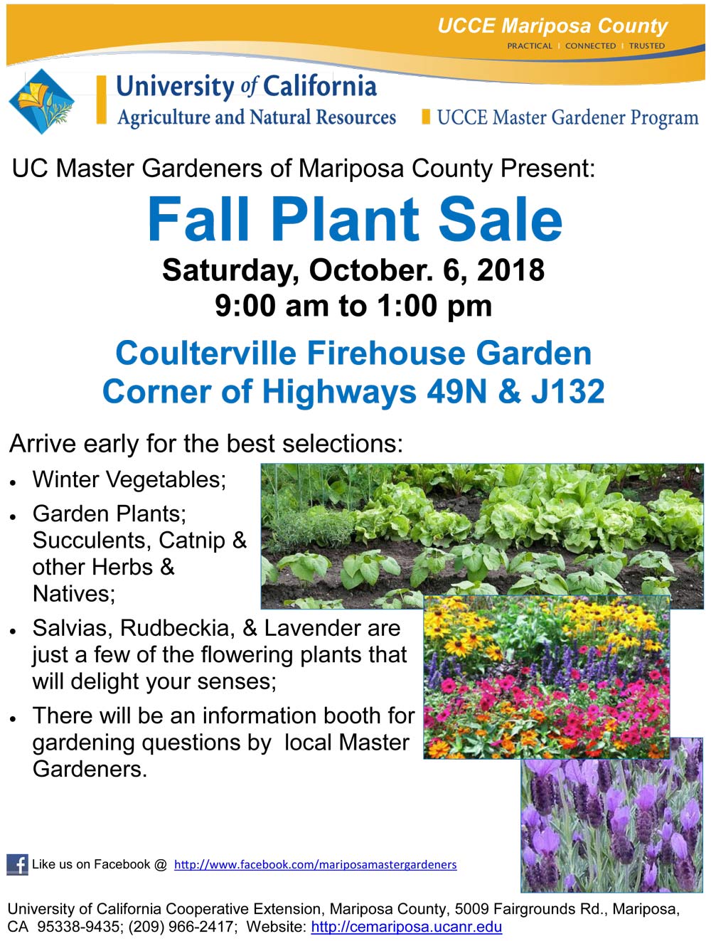 10 6 18 Fall Plant Sale