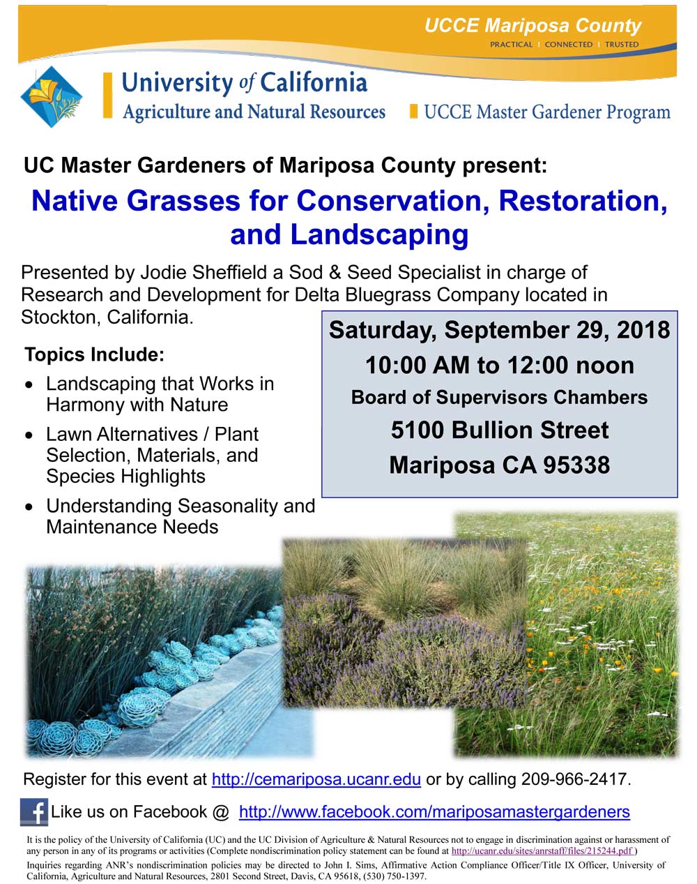 9 29 18 Native Grasses