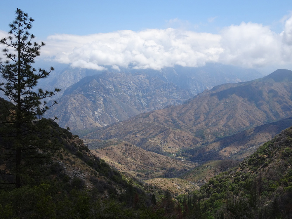 CA League of Conservation Voters 3