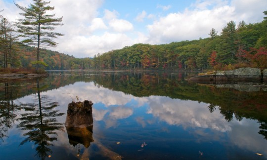 fallreflectionscolrainmausfws