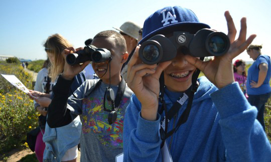 sandiegonwrjeffersonelementaryschoollisacoxusfws