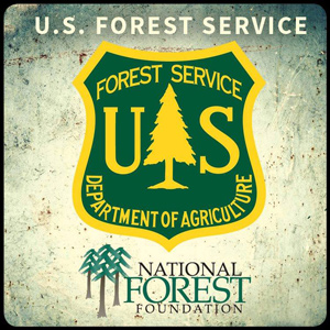 us forest service logo