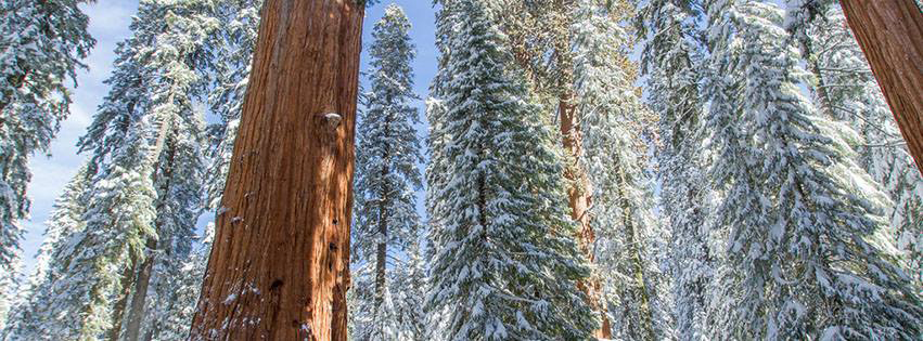Sequoia and Kings Canyon National Parks