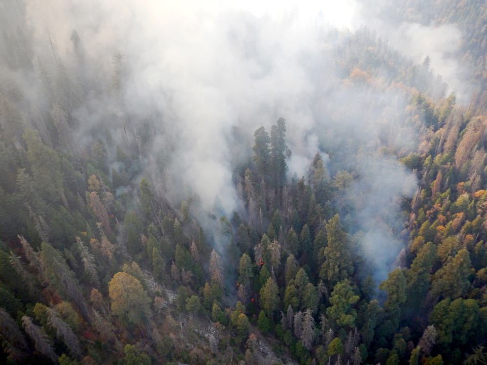 2018 Eden Fire Sequoia National Park Photo NPS PStevko.1