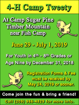 2019 Camp Tweety 2