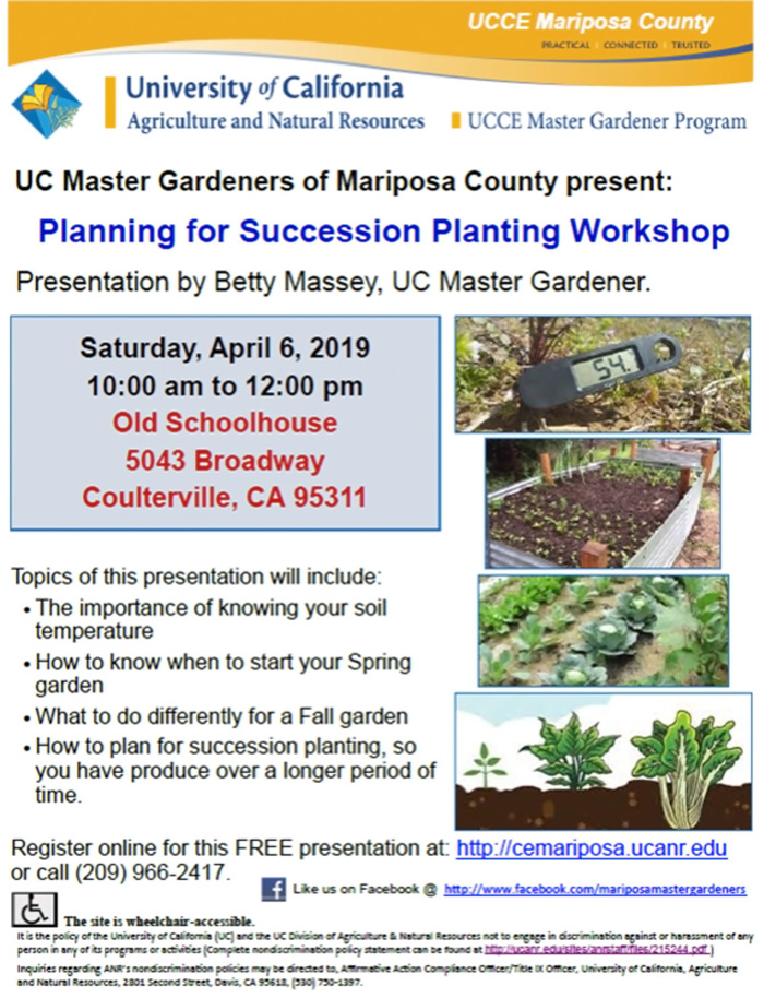 4 6 19 MG Succession Planting